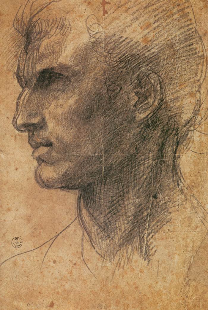 Leder af en mand i profil mod venstre af Andrea del Sarto