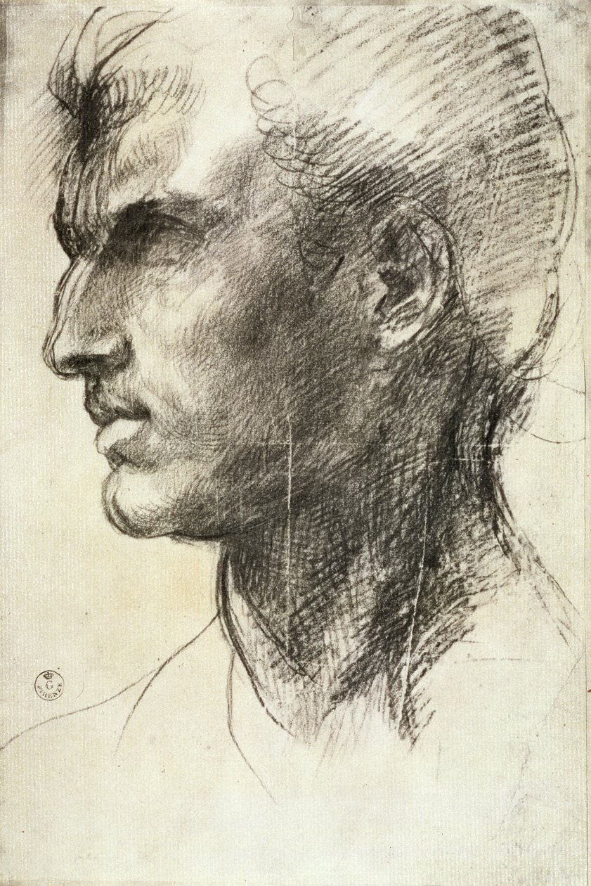 Studie af et mandligt hoved (kul på papir) af Andrea del Sarto