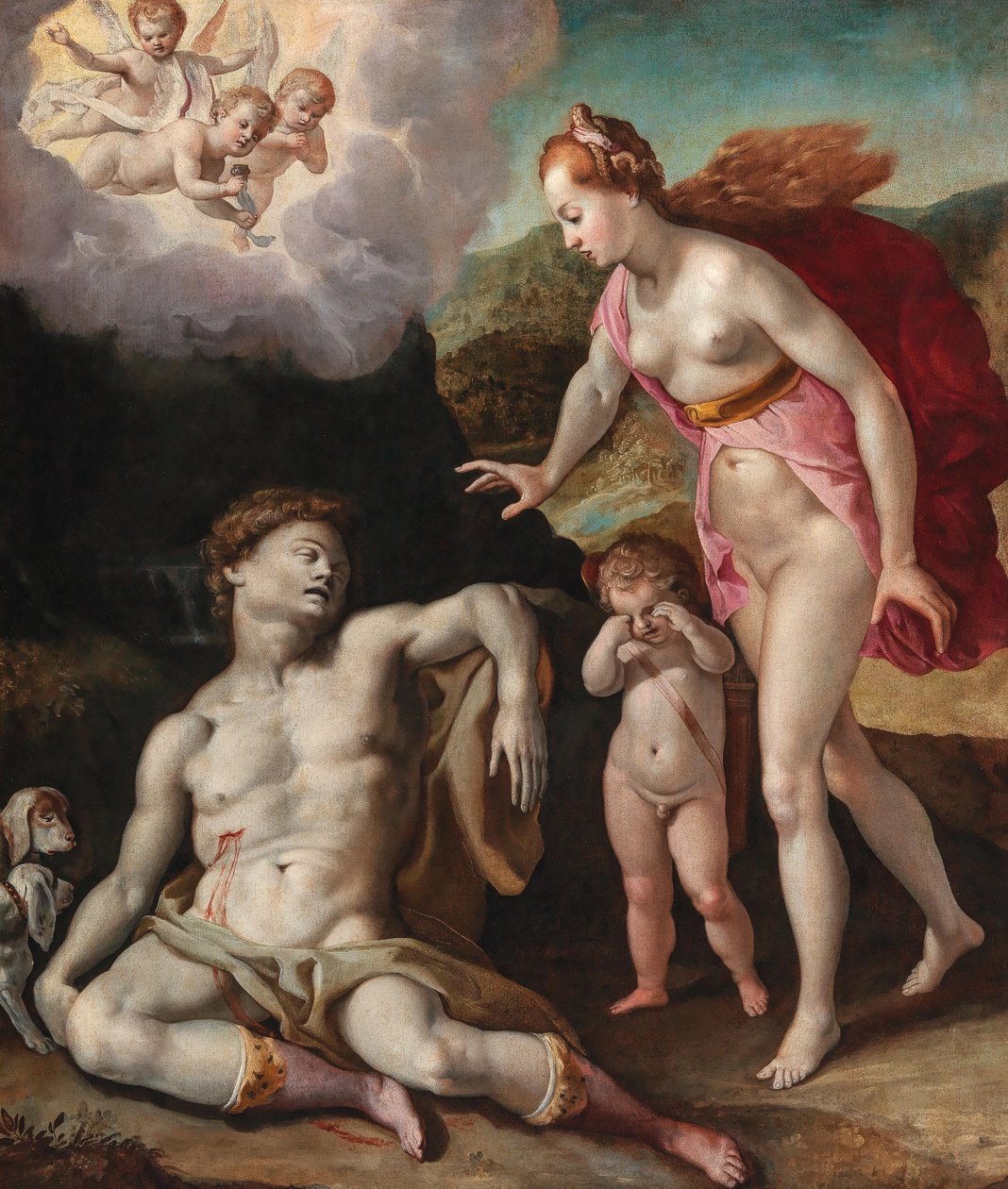 Venus sørger over Adonis