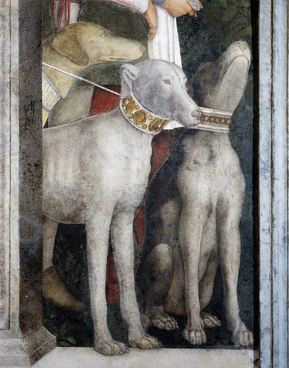 Molossiske hunde, detalje fra Meeting Wall af Andrea Mantegna