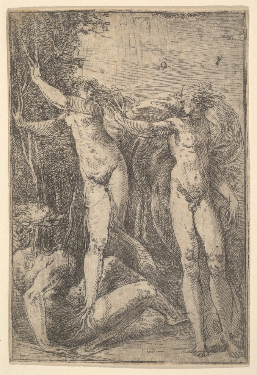 Apollo og Daphne, ca. 1538-40. af Andrea Schiavone
