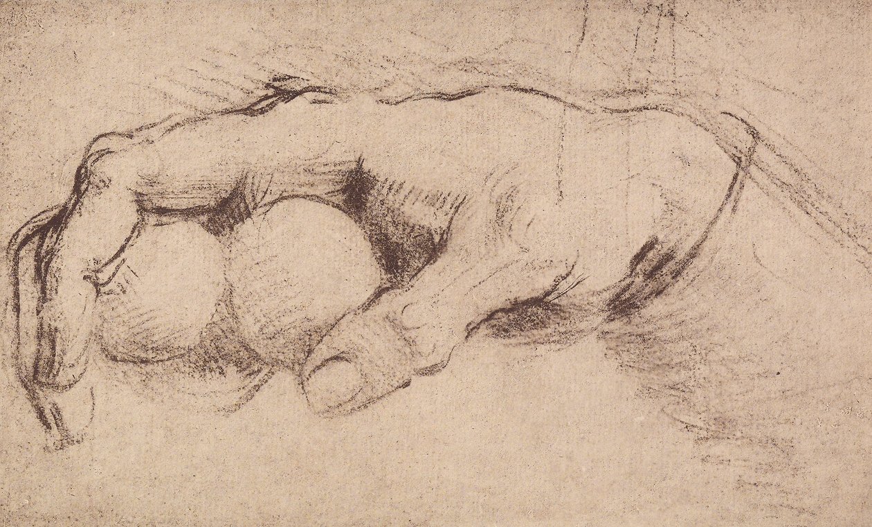 En hånd; tegning af Andrea del Sarto