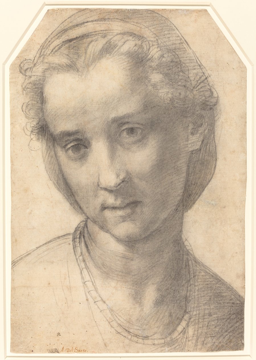 Hoved af en kvinde af Andrea del Sarto