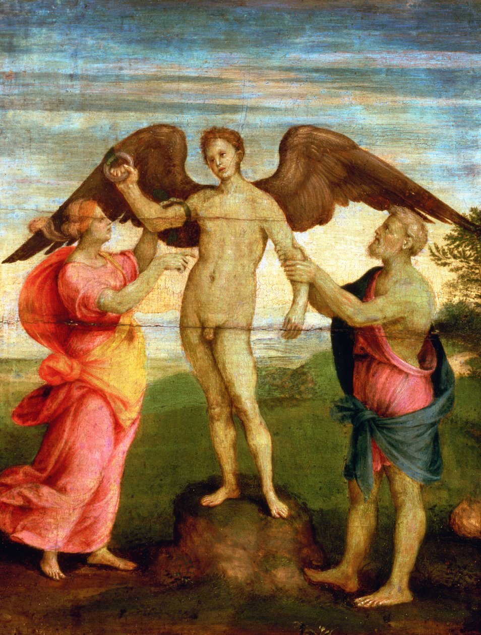 Icarus af Andrea del Sarto