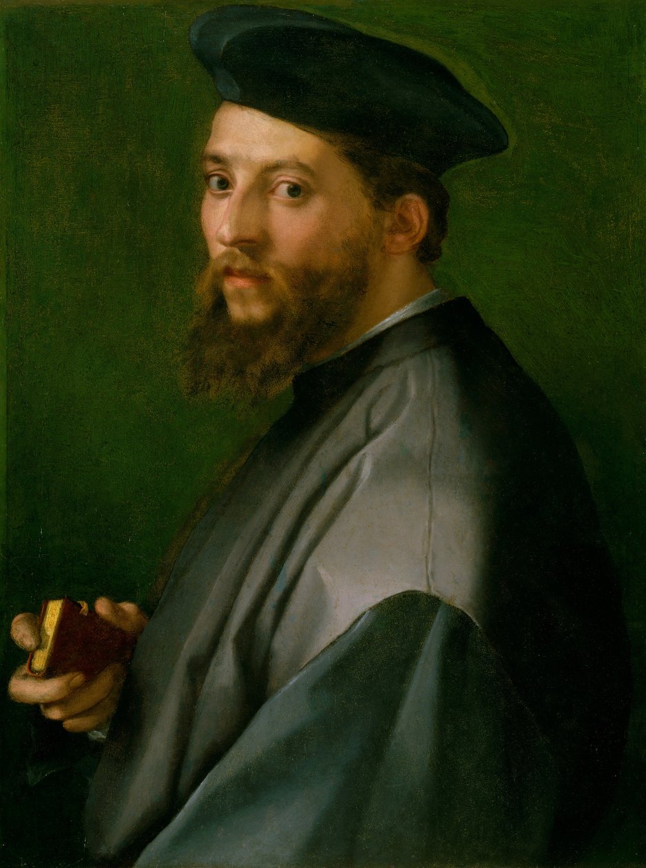 Portræt af en mand, 1528-30. af Andrea del Sarto