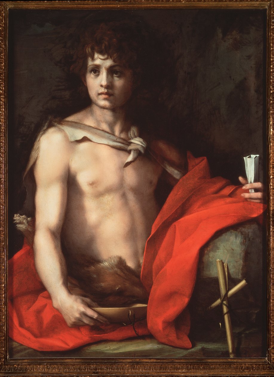 Johannes Døberen (maleri af Andrea del Sarto