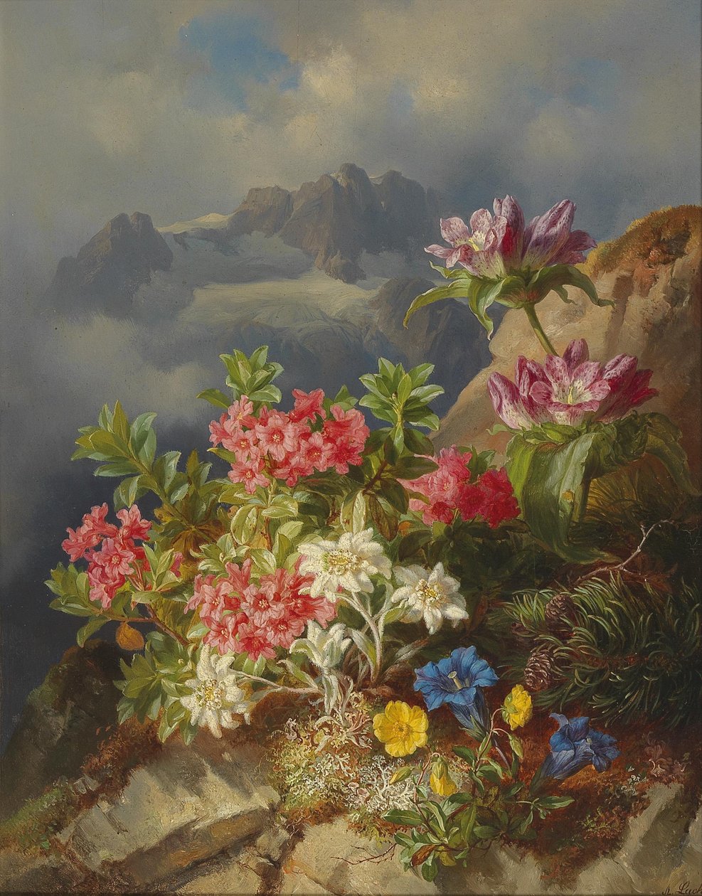 Stilleben med alpine blomster af Andreas Lach