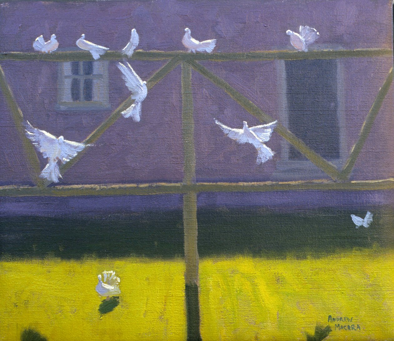 Duer, 1999 af Andrew Macara