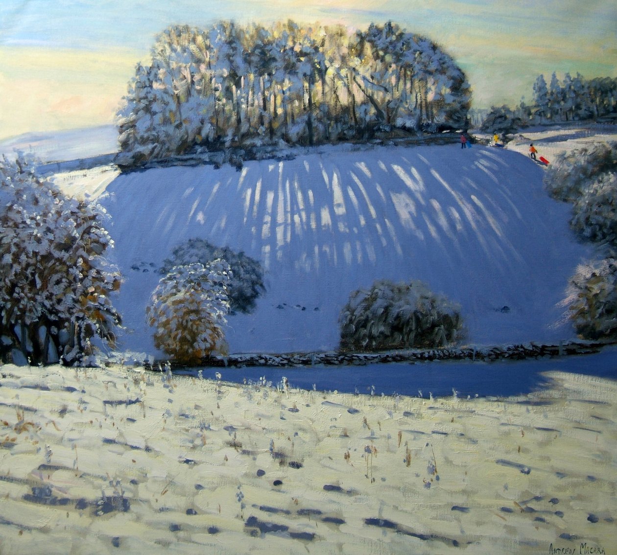 Skyggefelt nær Youlgrave, Derbyshire af Andrew Macara