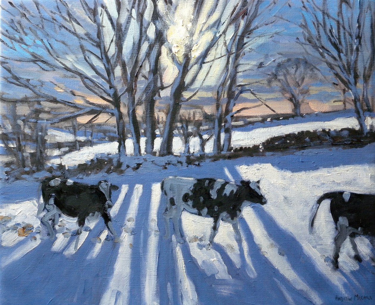 Frisiske køer, 2009 af Andrew Macara