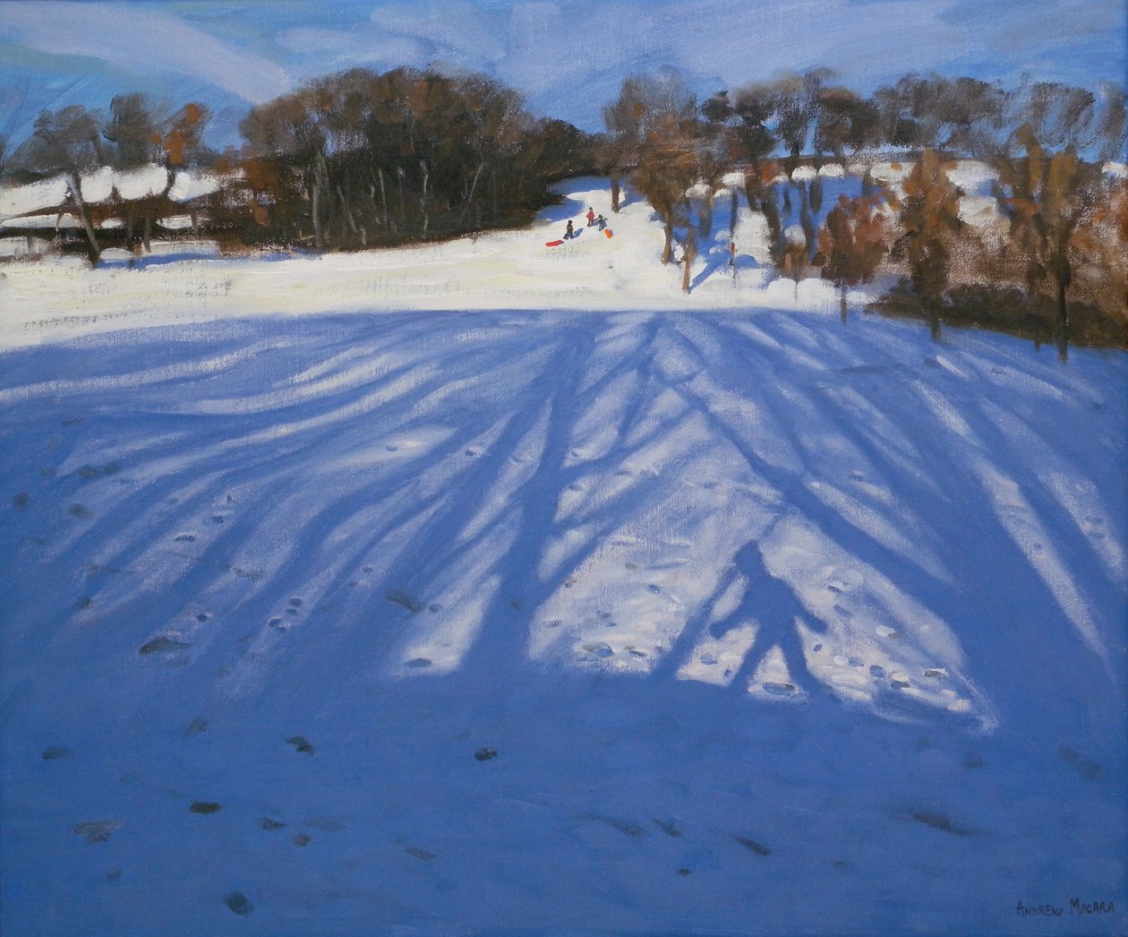 Shadow of Sledger, 2008 af Andrew Macara