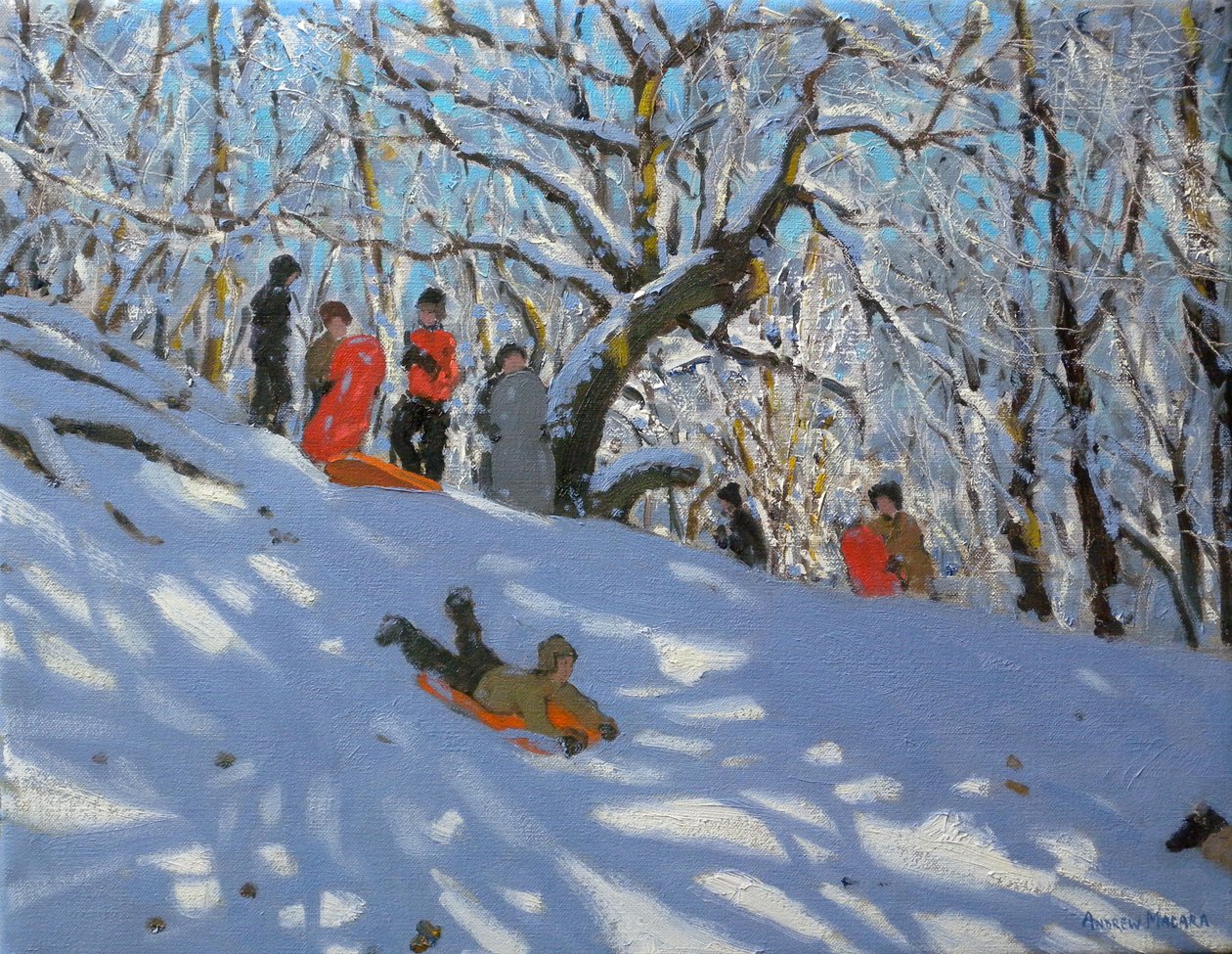 Slædekørsel i Allestree Woods, 2011 af Andrew Macara