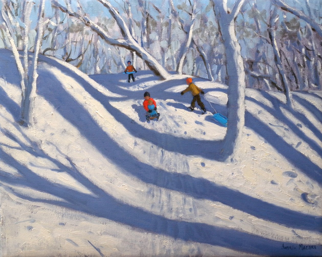 Winter Bramcote Nottingham, 2008 af Andrew Macara