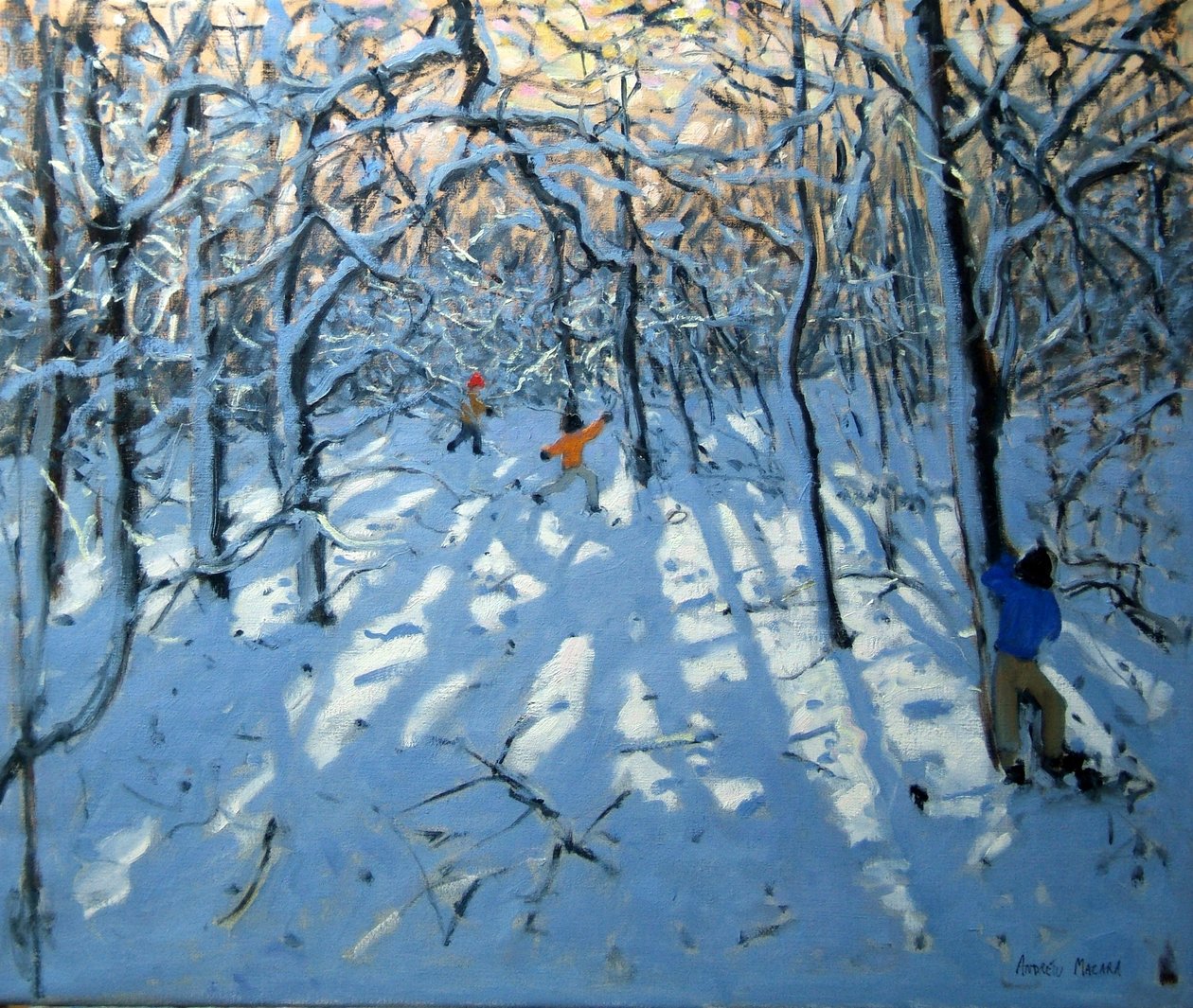 Vinterskov nær Newhaven, Derbyshire af Andrew Macara