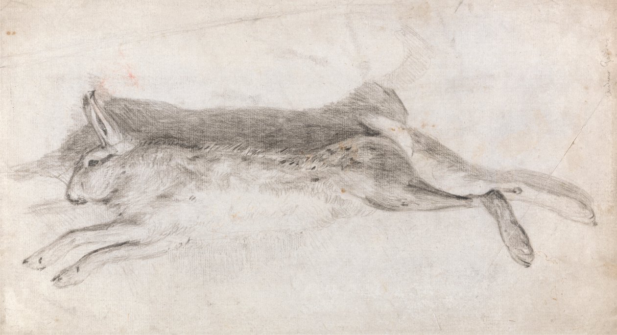 Død hare af Andrew Geddes