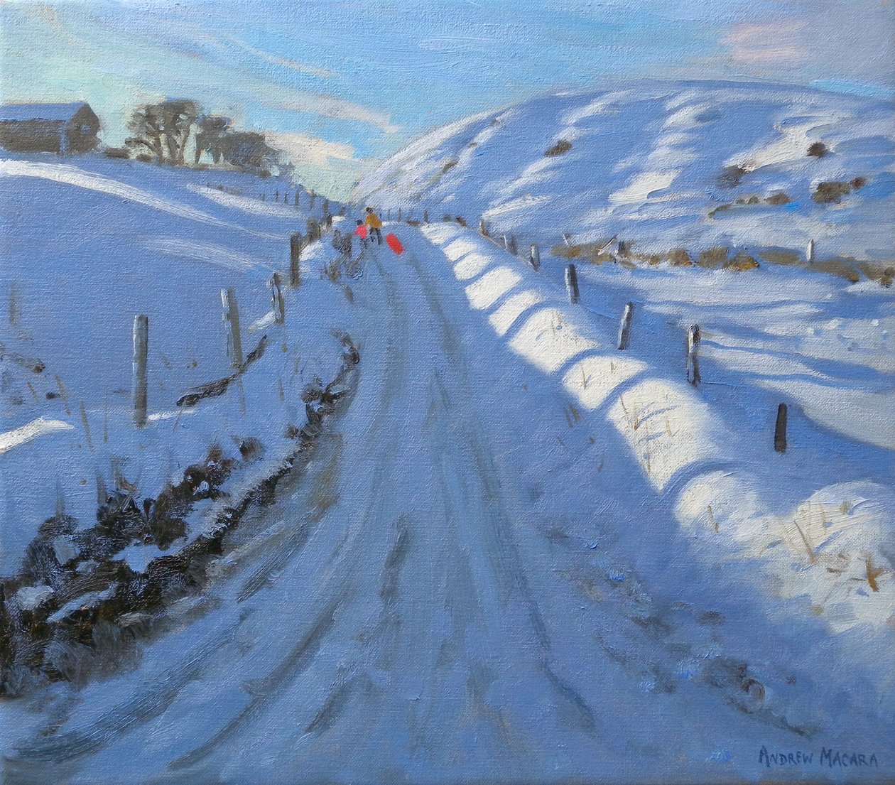 Duehoved, 2011 (olie på lærred) af Andrew Macara