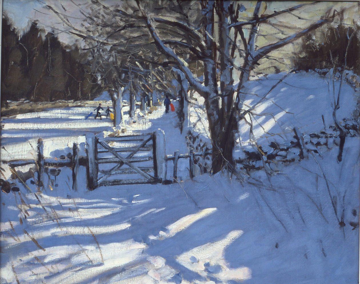 Port nær Youlgreave, Derbyshire af Andrew Macara
