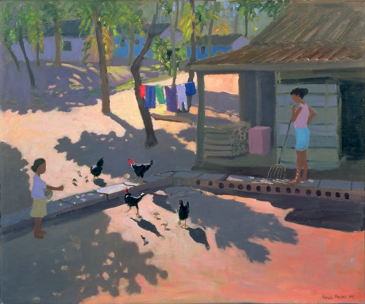 Høns og høns, Cuba, 1997 af Andrew Macara