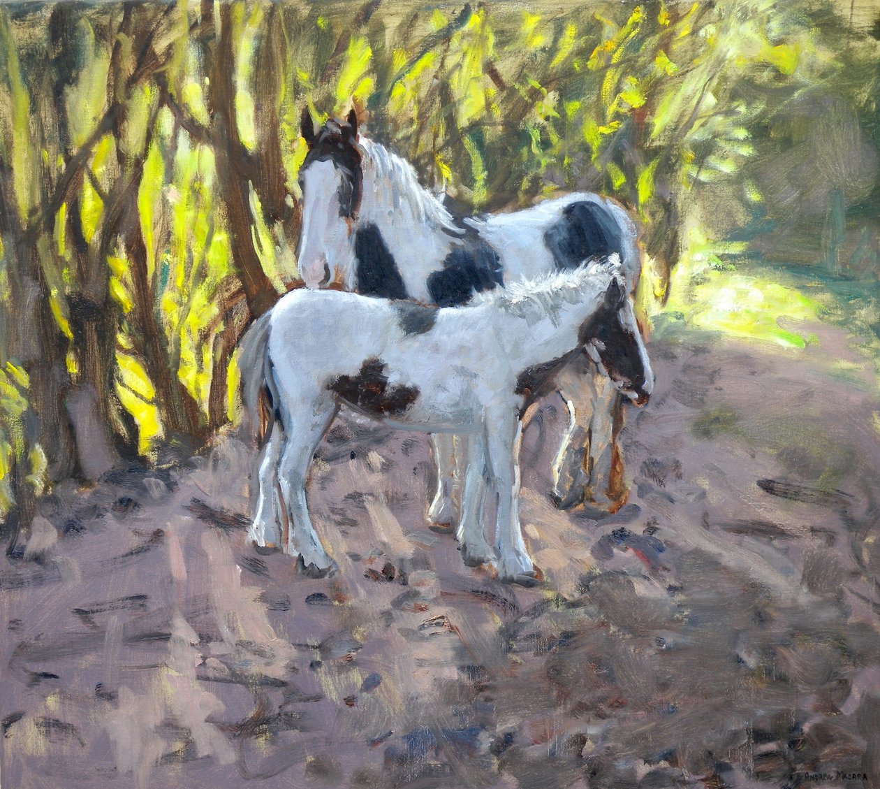 Hoppe og føl, 2011 (olie på lærred) af Andrew Macara