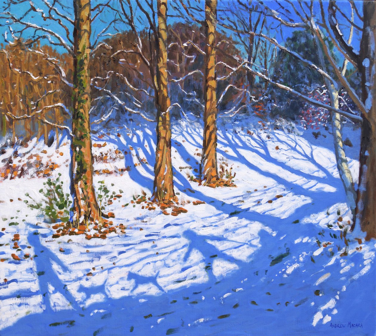 November sne, Allestree Park,Derby, 2017, af Andrew Macara