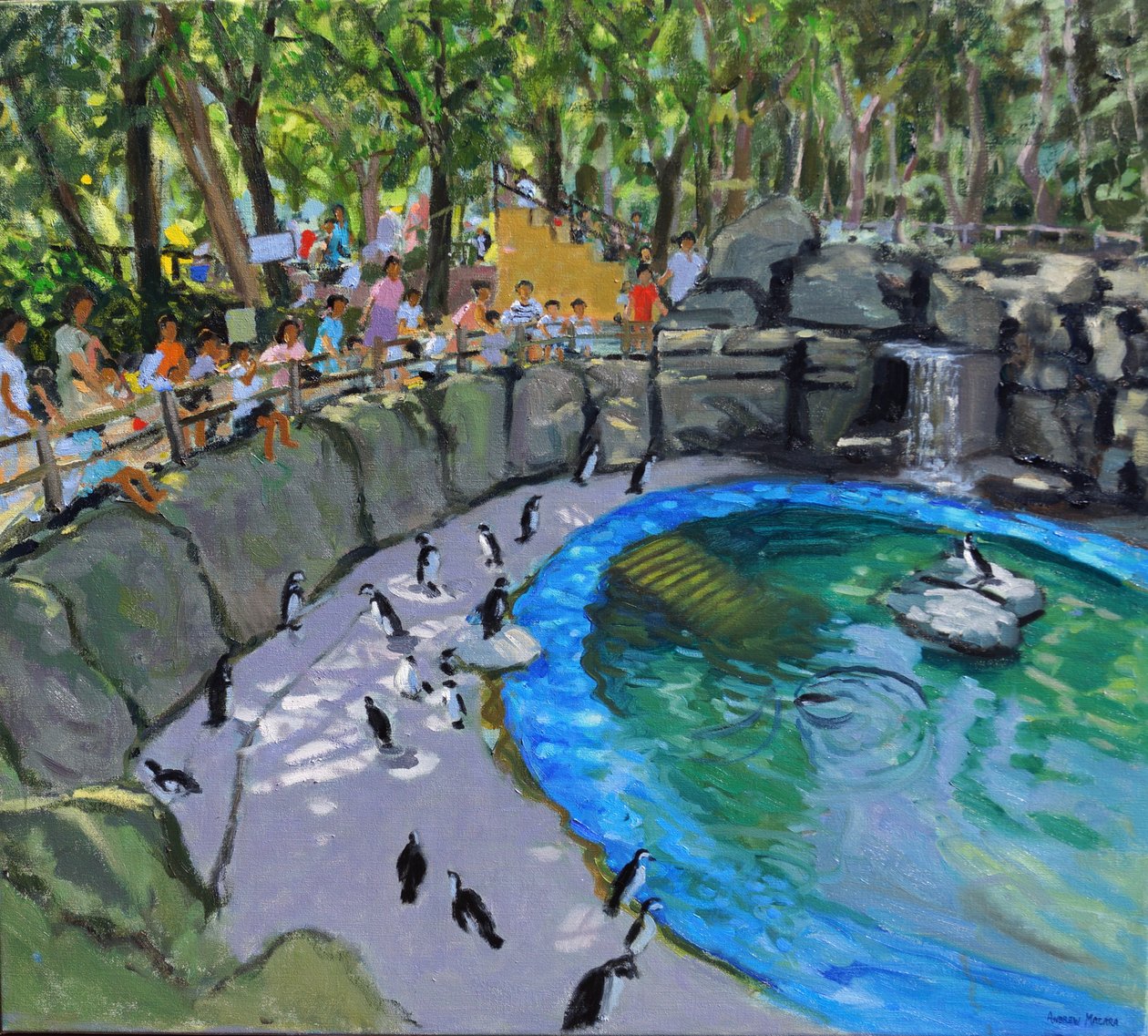 Penguin Pool,Madrid Zoo. 2015 af Andrew Macara