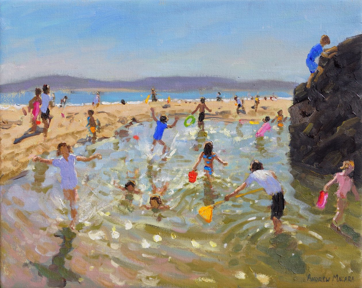 Rock pool.Tenby,2016 af Andrew Macara