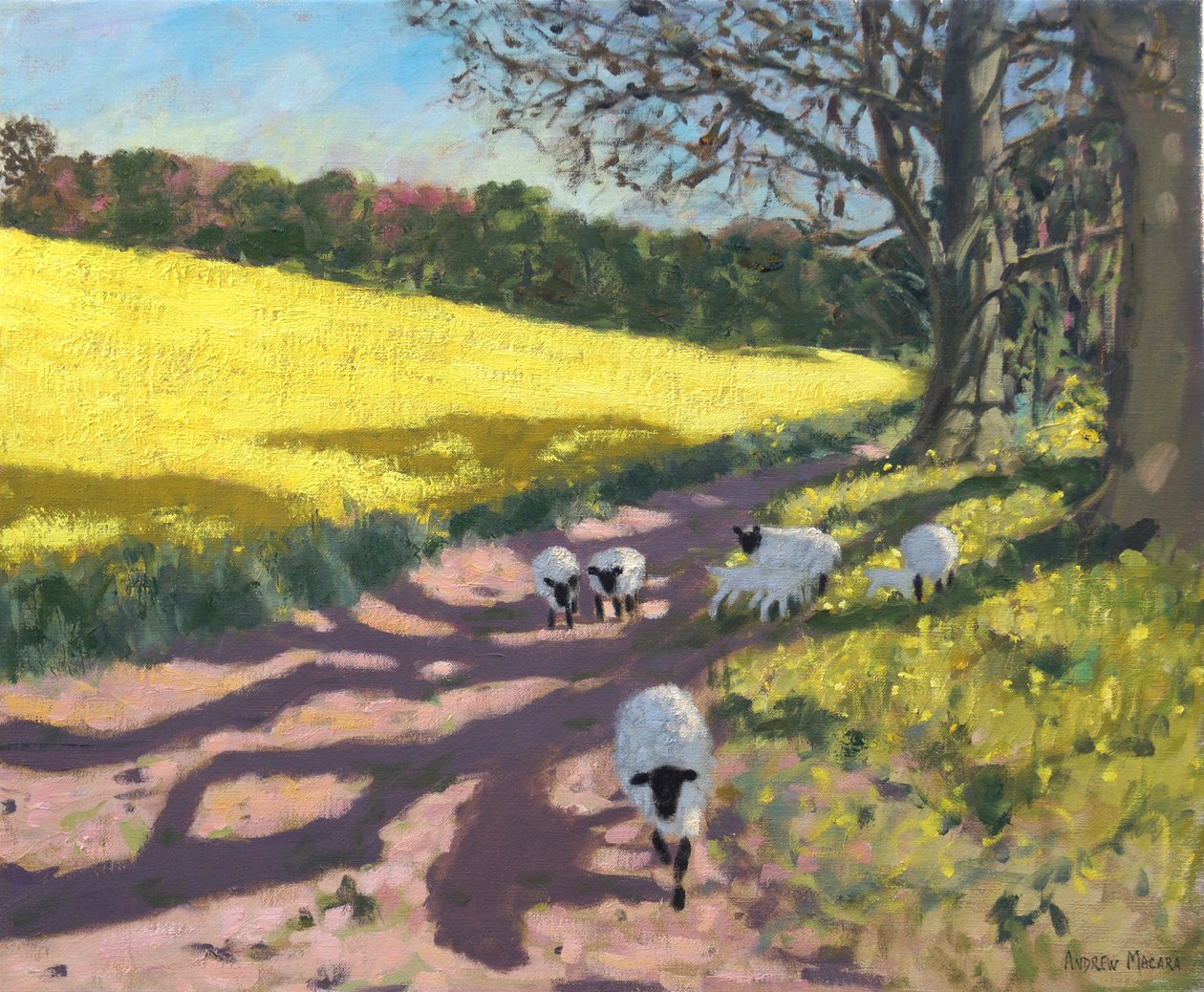 Får og gul mark,2017, af Andrew Macara