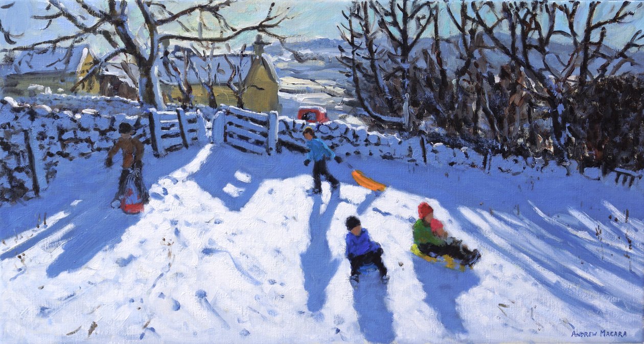 Slædekørsel, Hartington, Buxton, 2020 af Andrew Macara