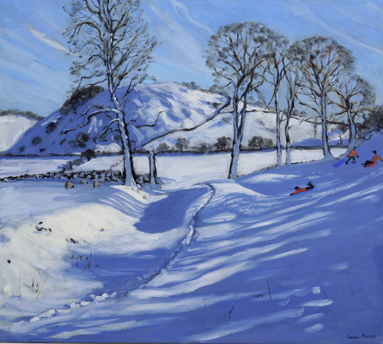 Sledging, Derbyshire Peak District, 2012 af Andrew Macara