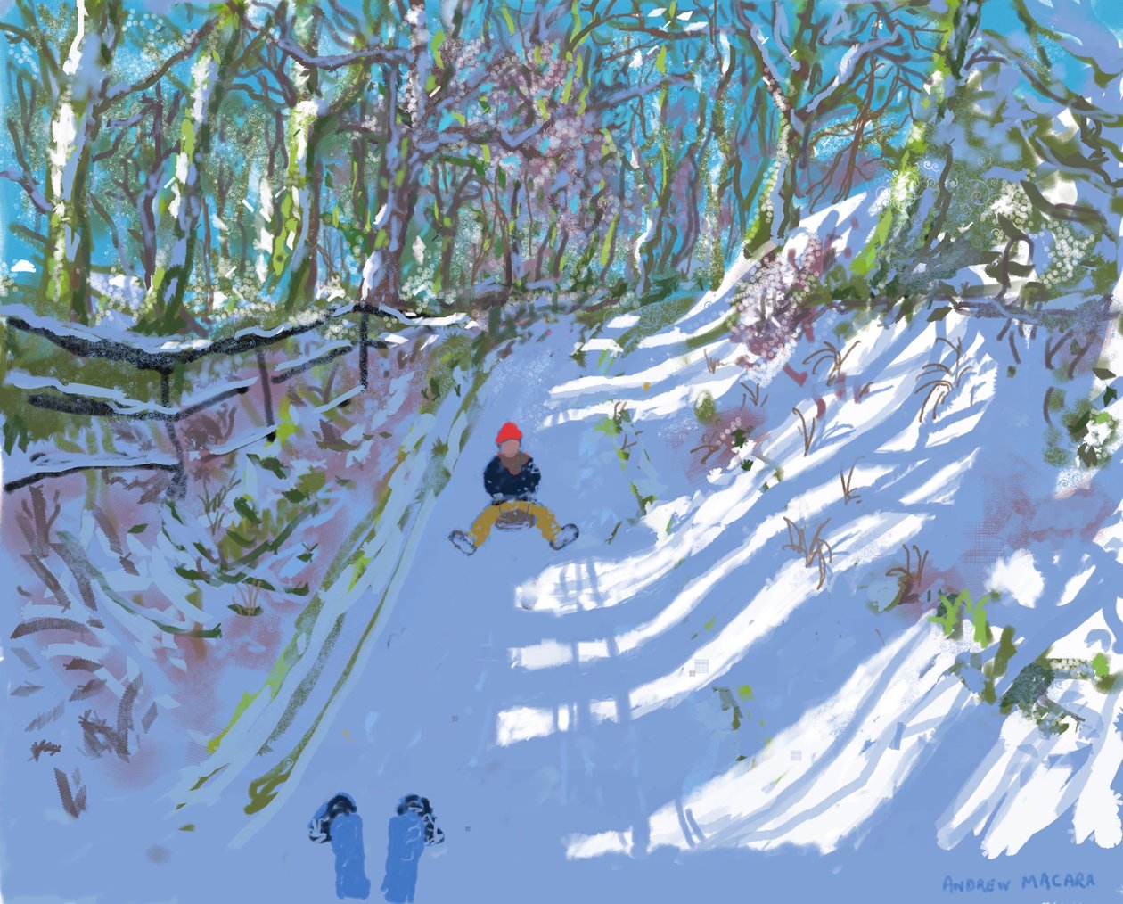 iPad-maling, Sledging, Windley Lane, Idridgehay, Belper, 2021, Print tilgængelige. af Andrew Macara