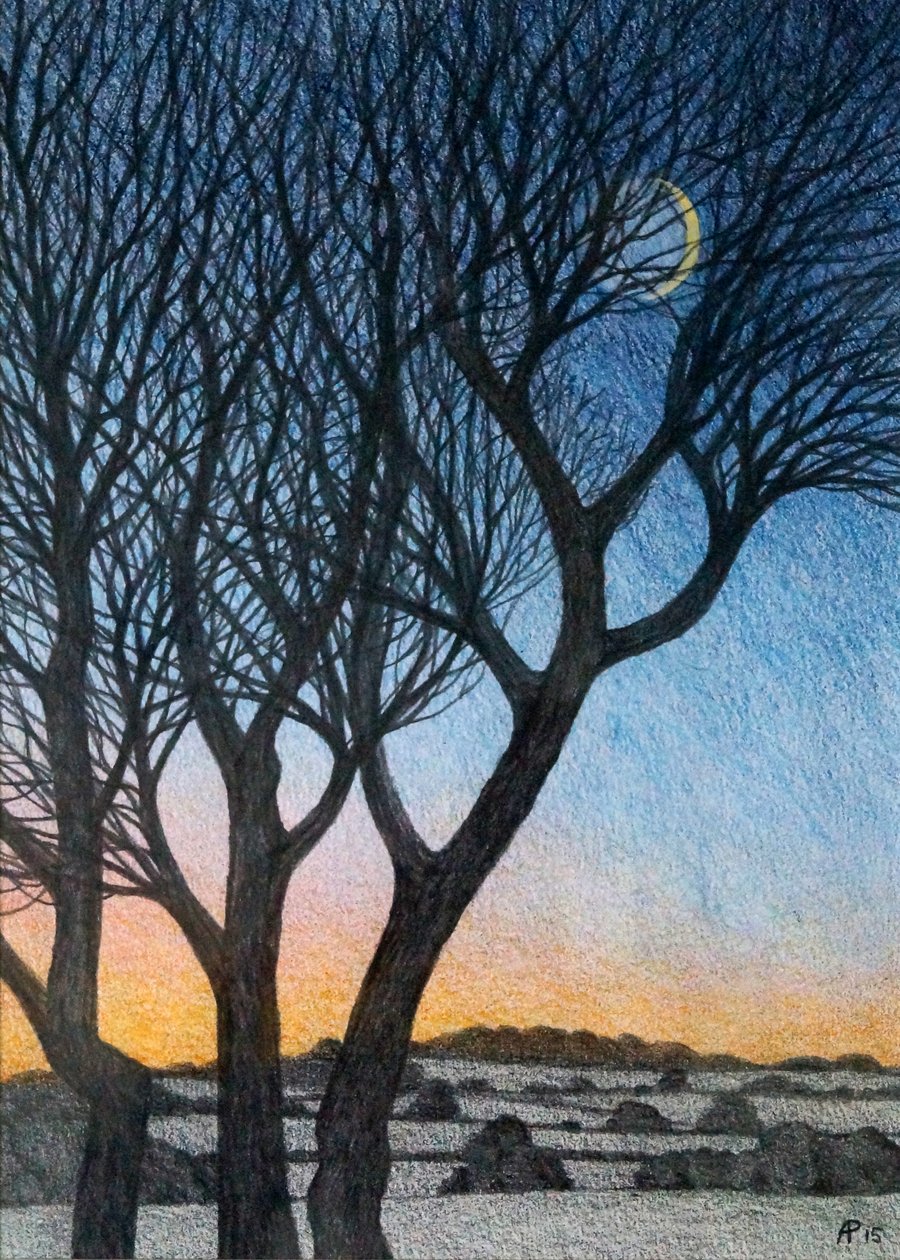 Trees and Moon, 2015 (blandet medier på papir) af Anna Phillips