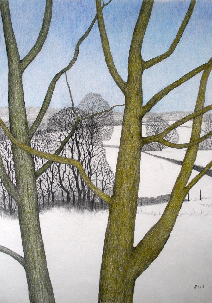 Winters Day, 2013 (blyant og farveblyant på papir) af Anna Phillips