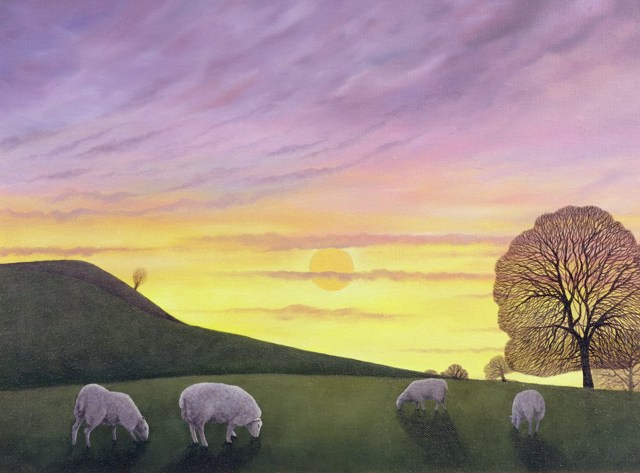 Barratts Hill, 2004 af Anna Phillips
