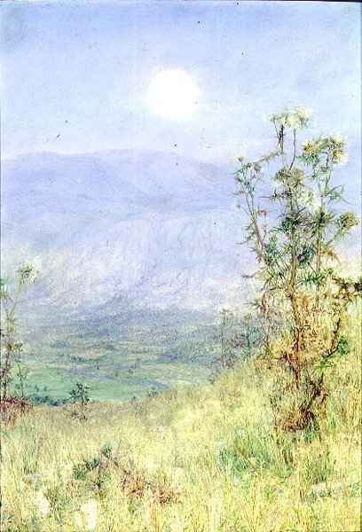 Ledigmandens høst af Anna Alma Tadema