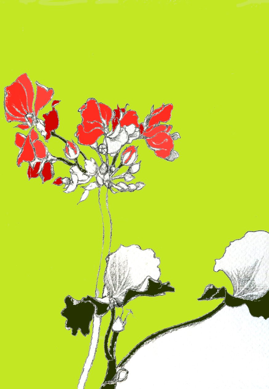 Geranium af Anna Platts