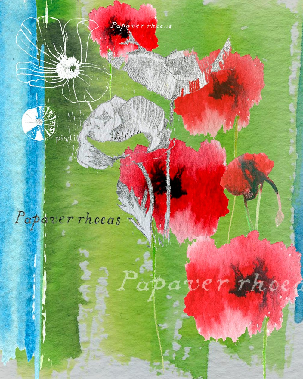 Valmue af Anna Platts