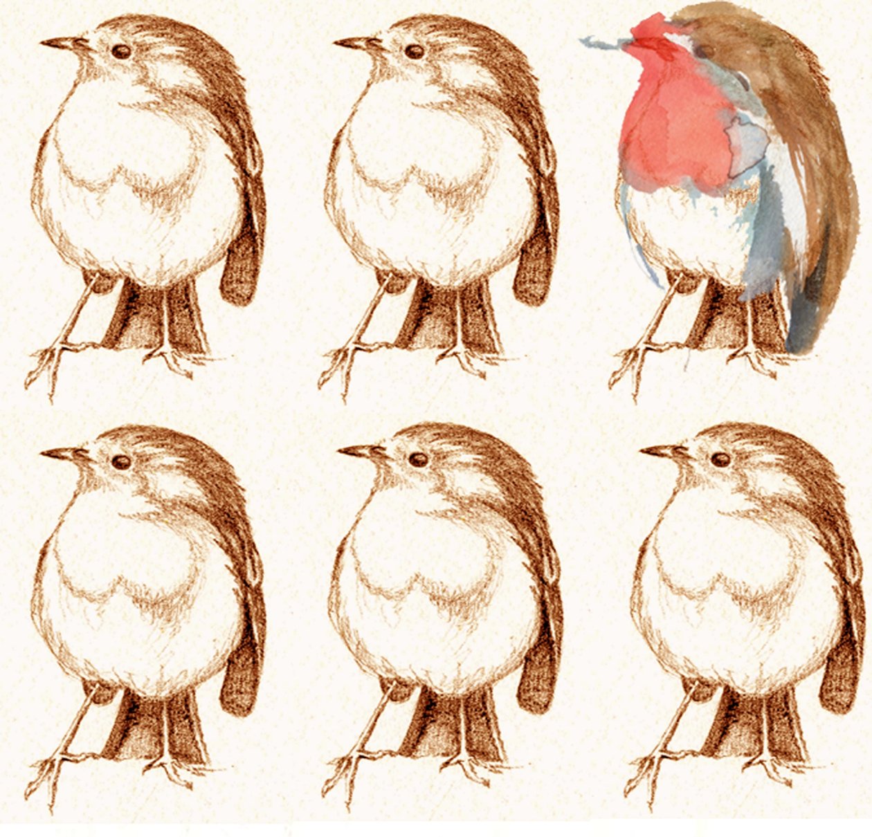 Robin af Anna Platts