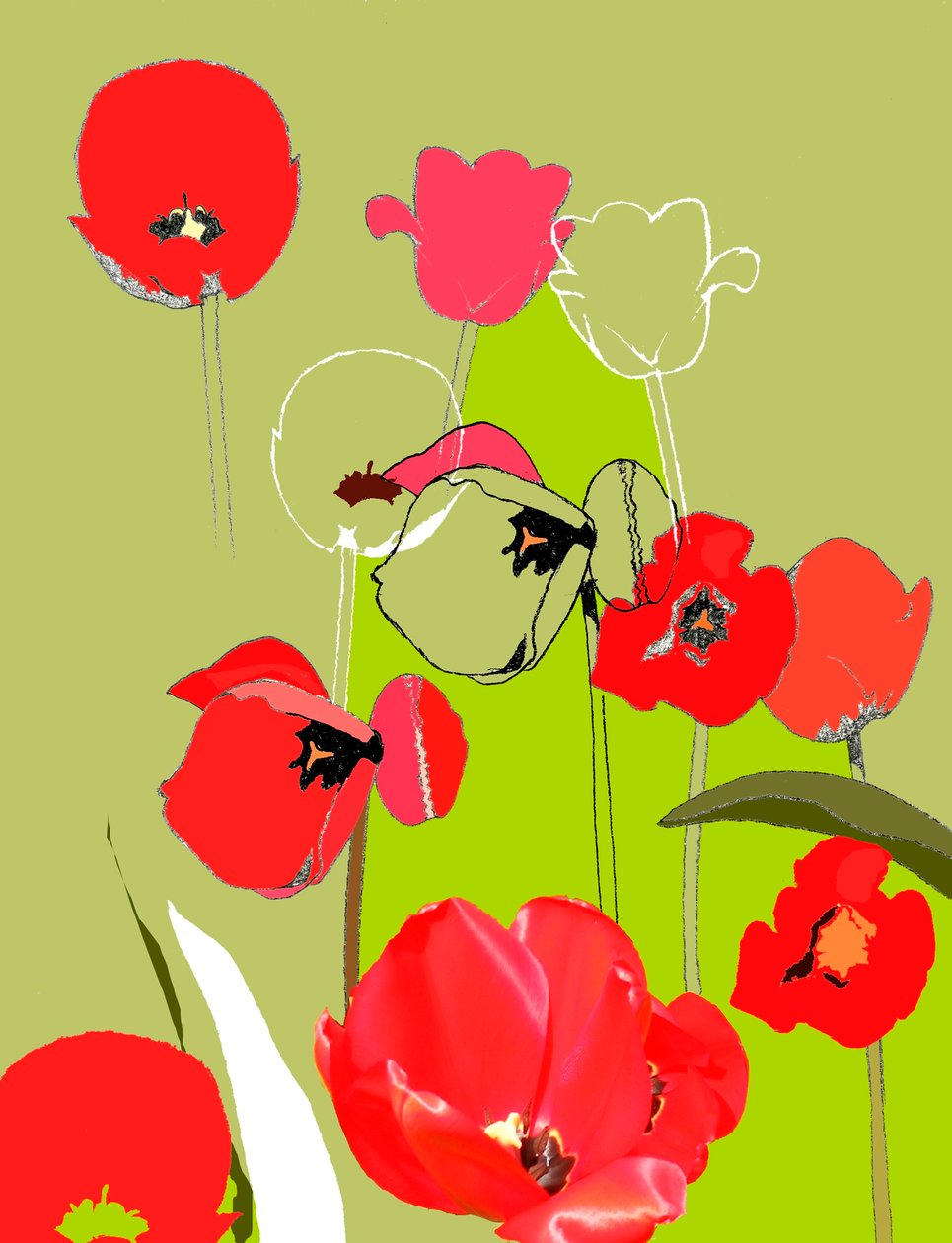Tulipan af Anna Platts