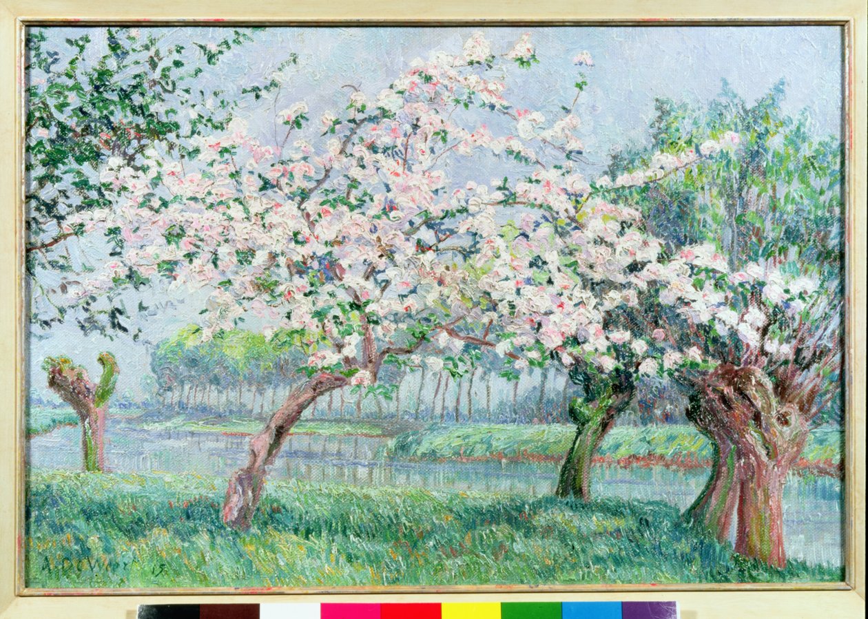 Æbleblomst ved flodens kant af Anna de Weert