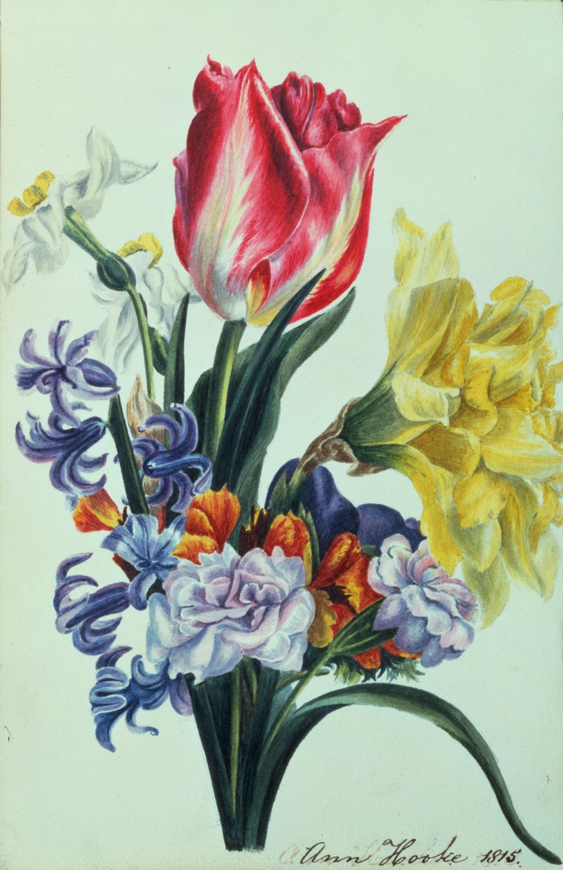 Forårsblomster, 1815 af Anne Hooke