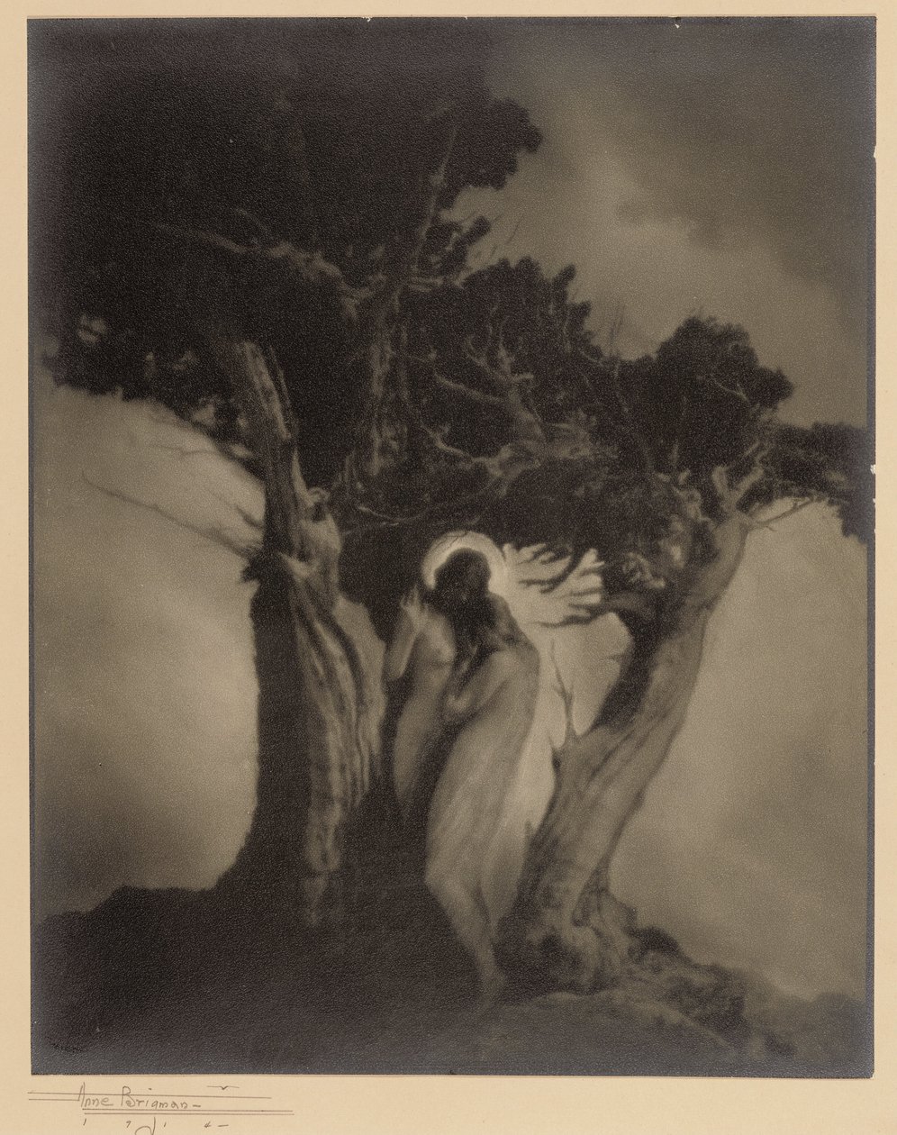 Stormens hjerte af Anne W. Brigman