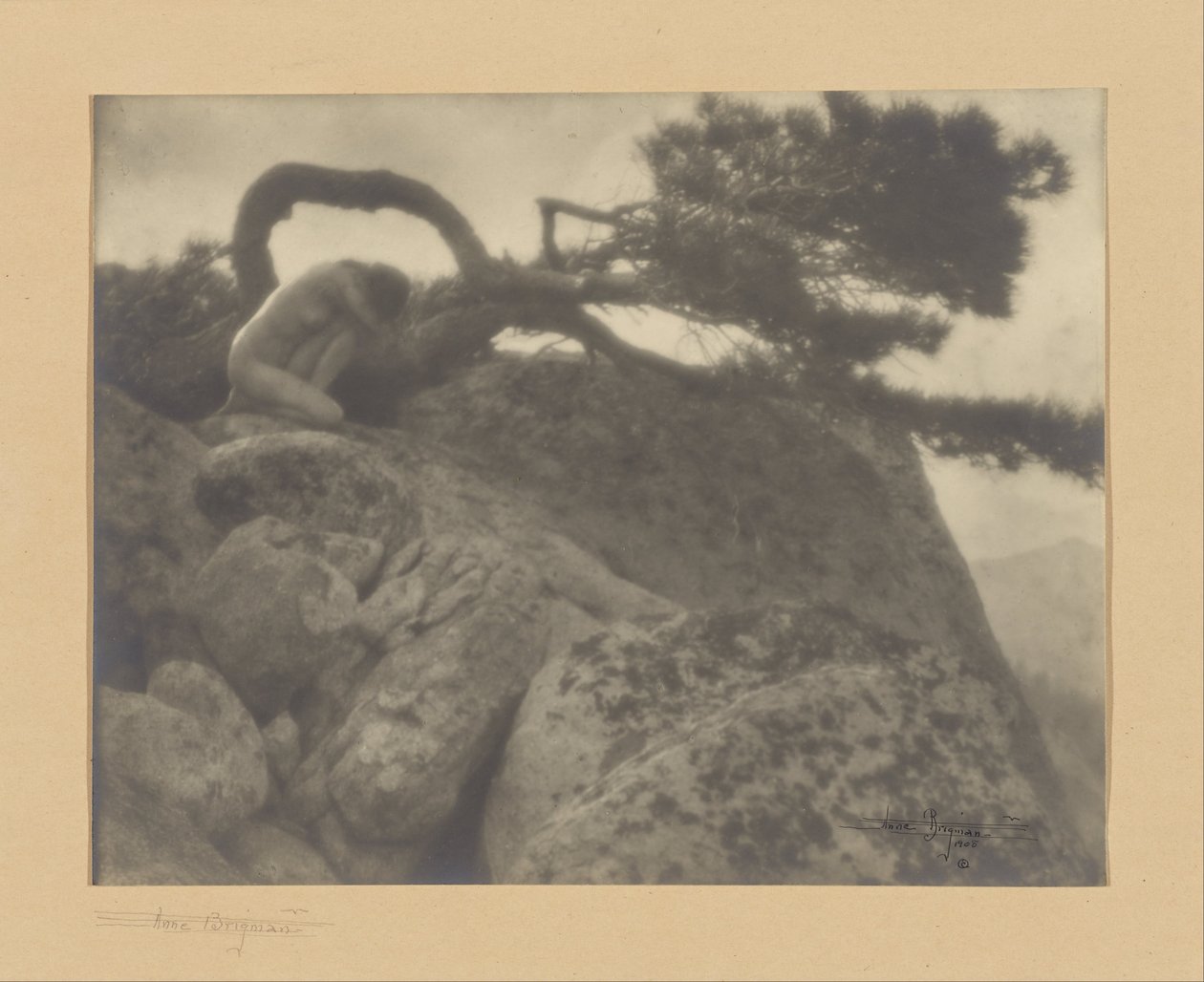 Den ensomme fyr af Anne W. Brigman