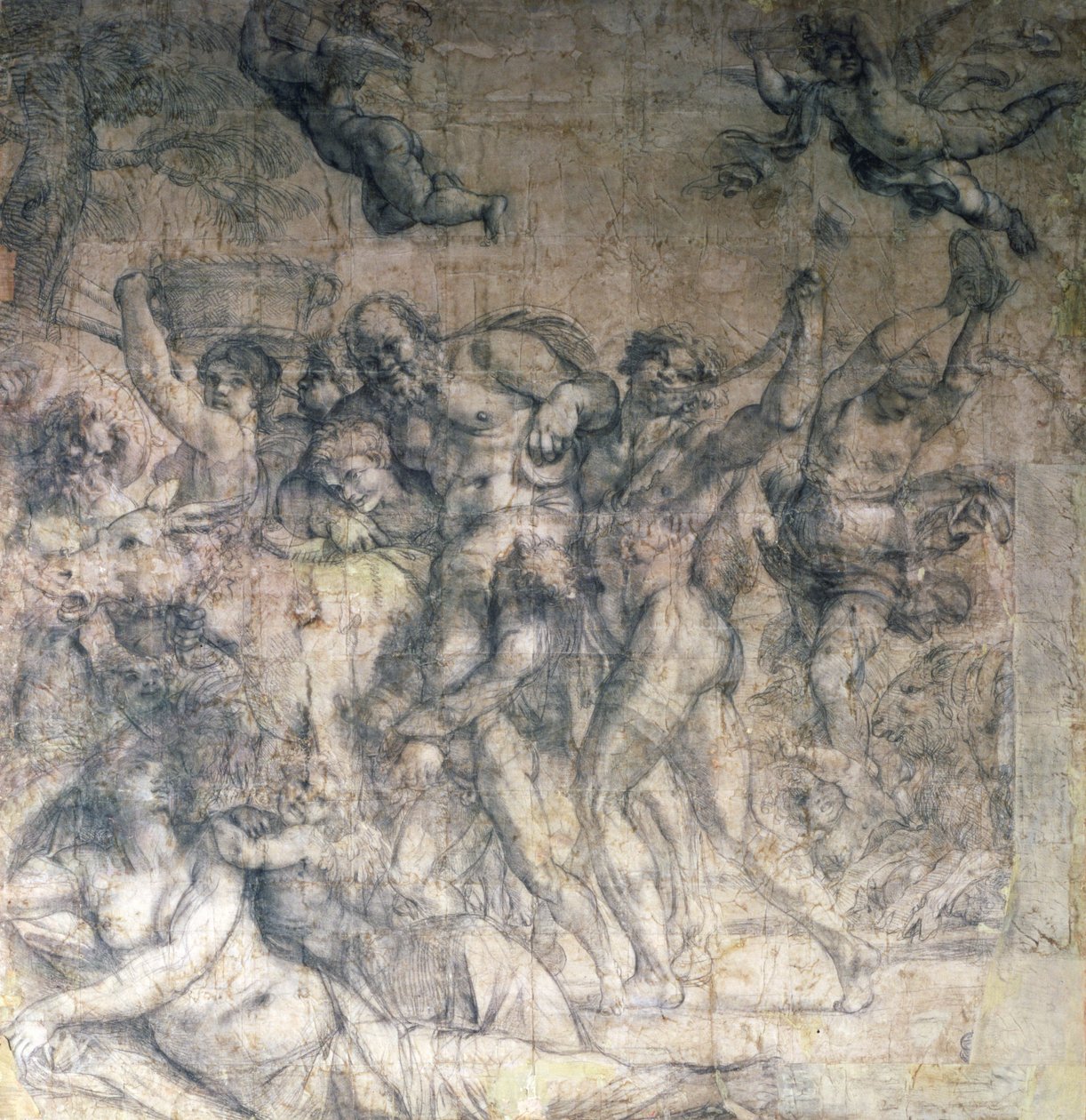 Bacchus