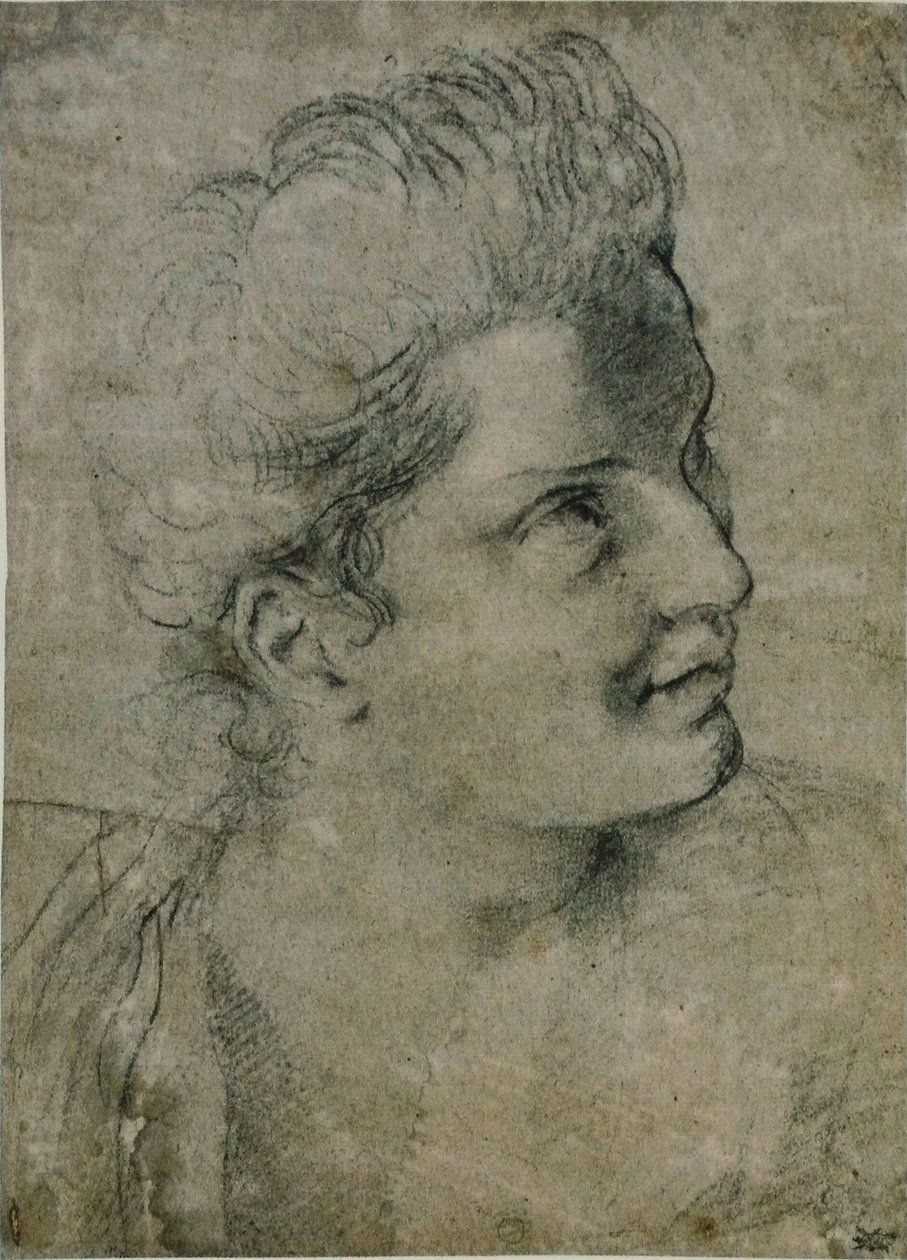 Hoved af en kvinde af Annibale Carracci