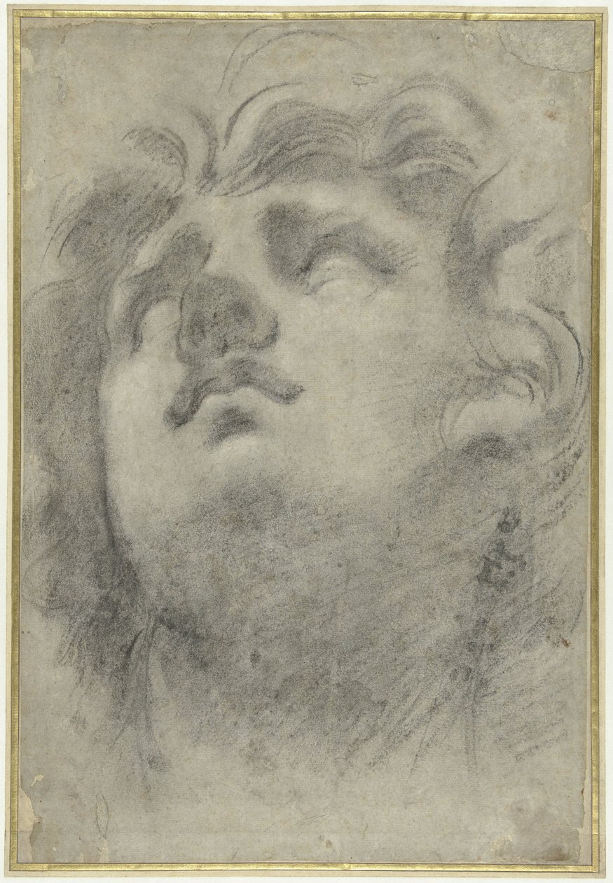 Ser hovedet af en triton ud af Annibale Carracci