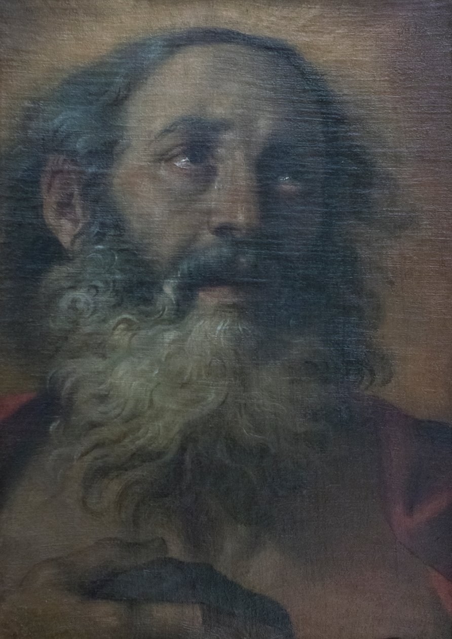 Sankt Jerome af Annibale Carracci