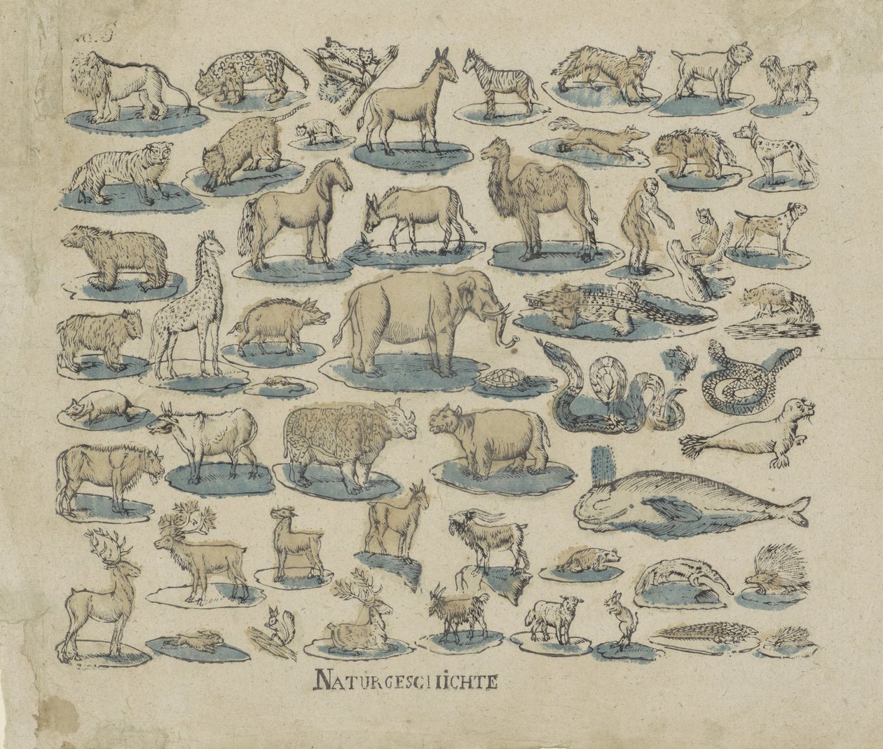 tjenere Natural History (titel på objekt) af Anonymous