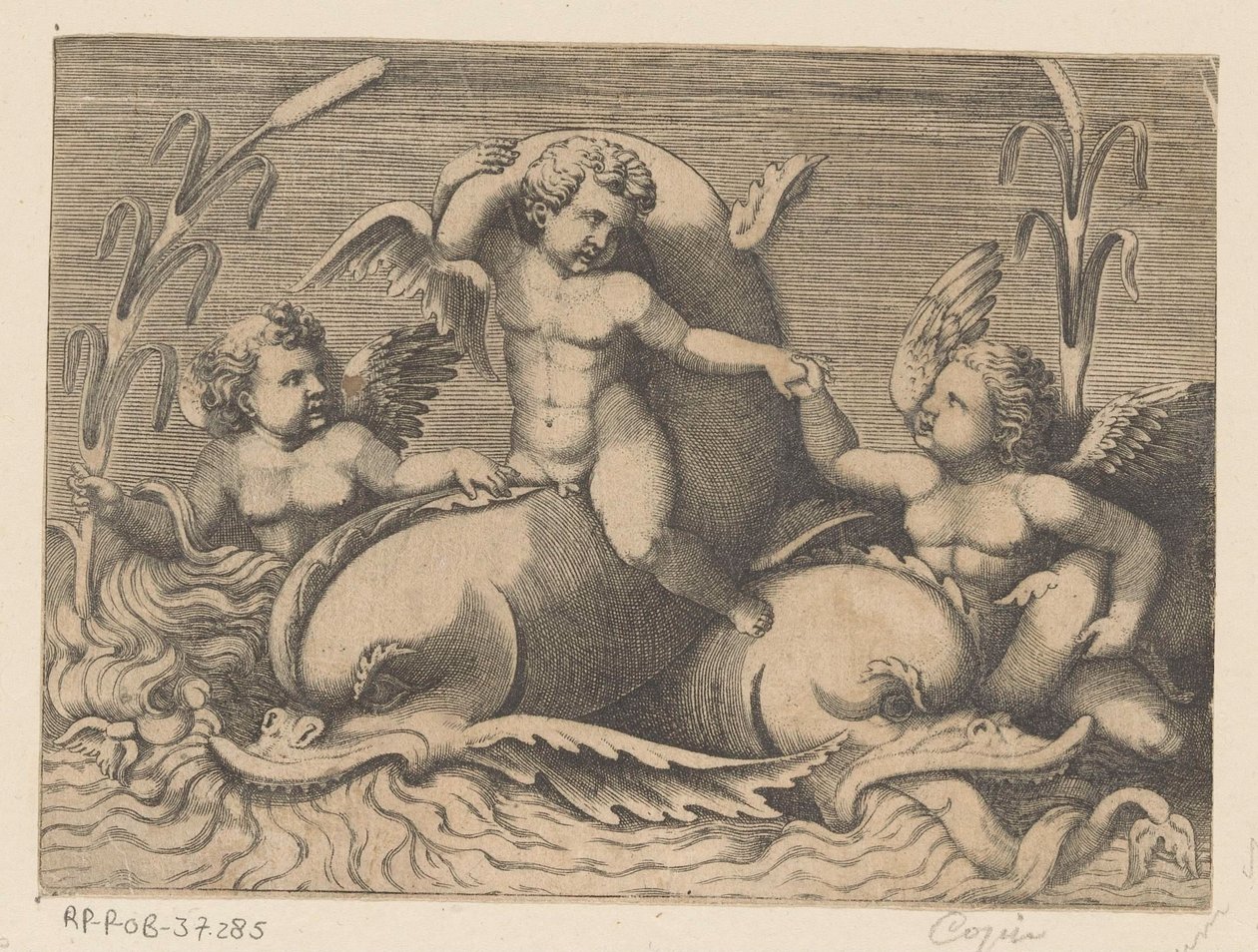 Tre putti med delfiner af Anonymous