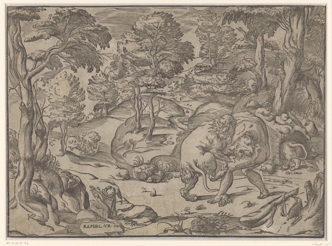 Hercules og Nemean Lion af Anonymous