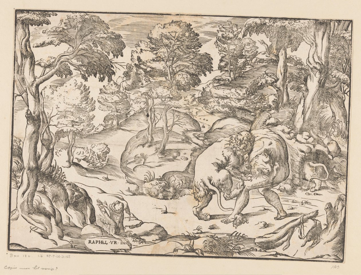 Hercules og Nemean Lion af Anonymous